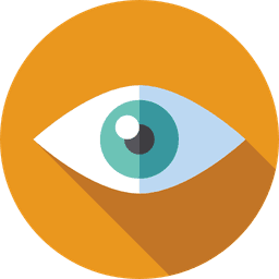Our Vision